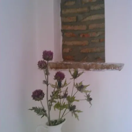 Domus Ausucium * Ossuccio