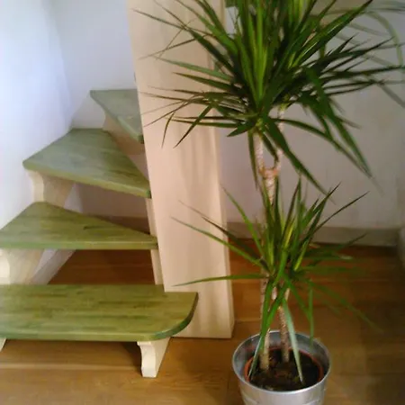 Apartment Domus Ausucium Ossuccio